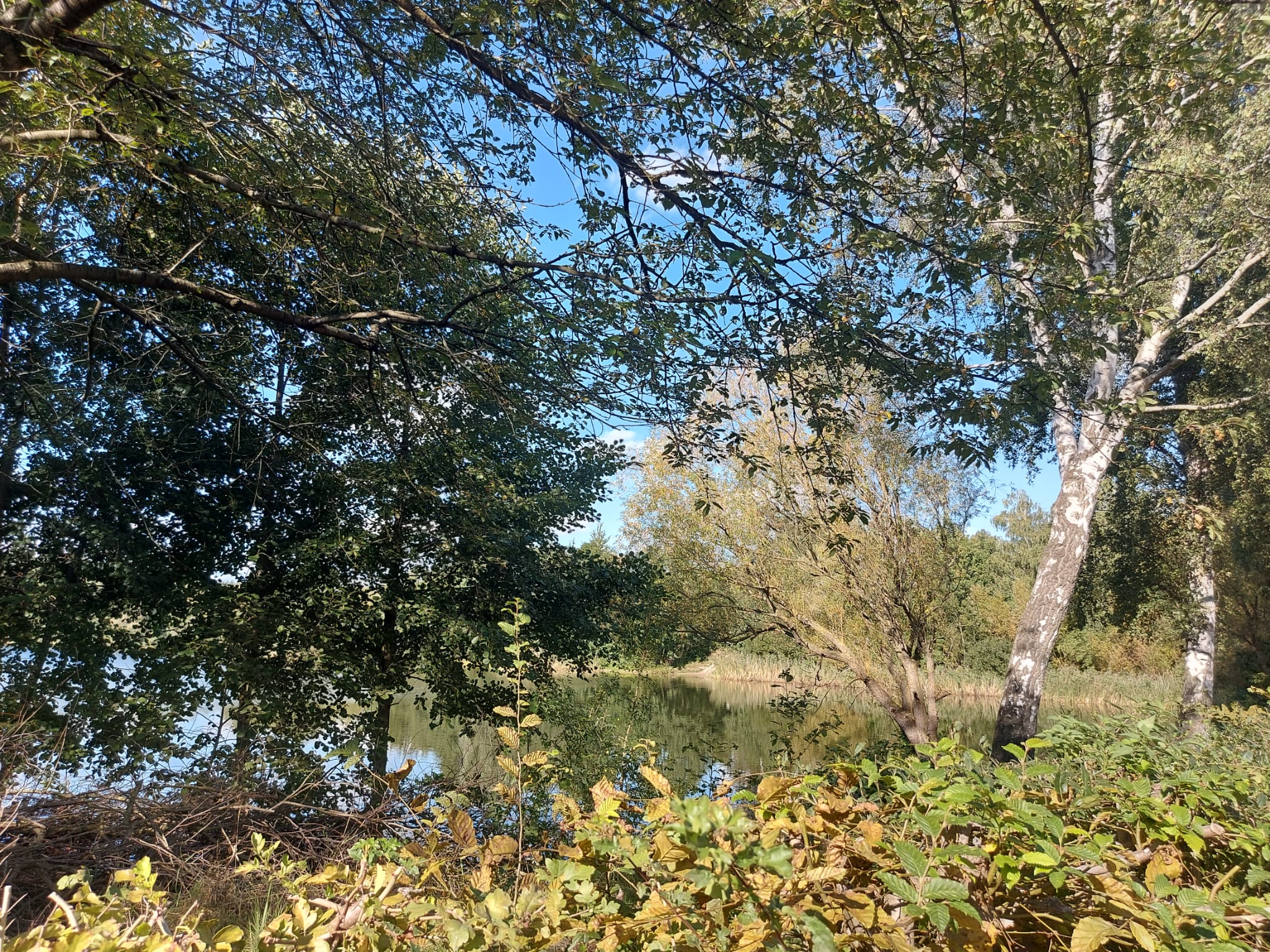 IMG 20230924 WA0015