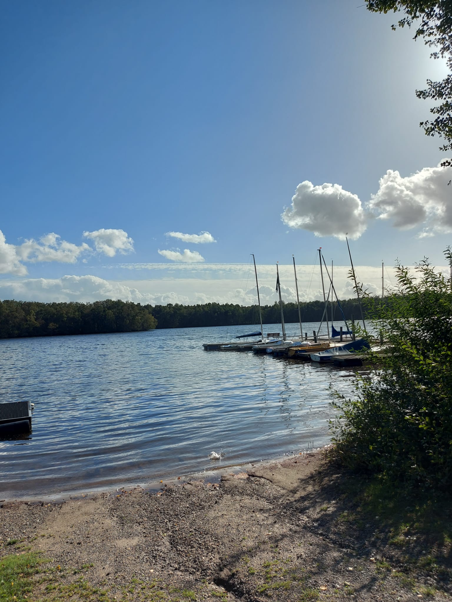 IMG 20231014 WA0003