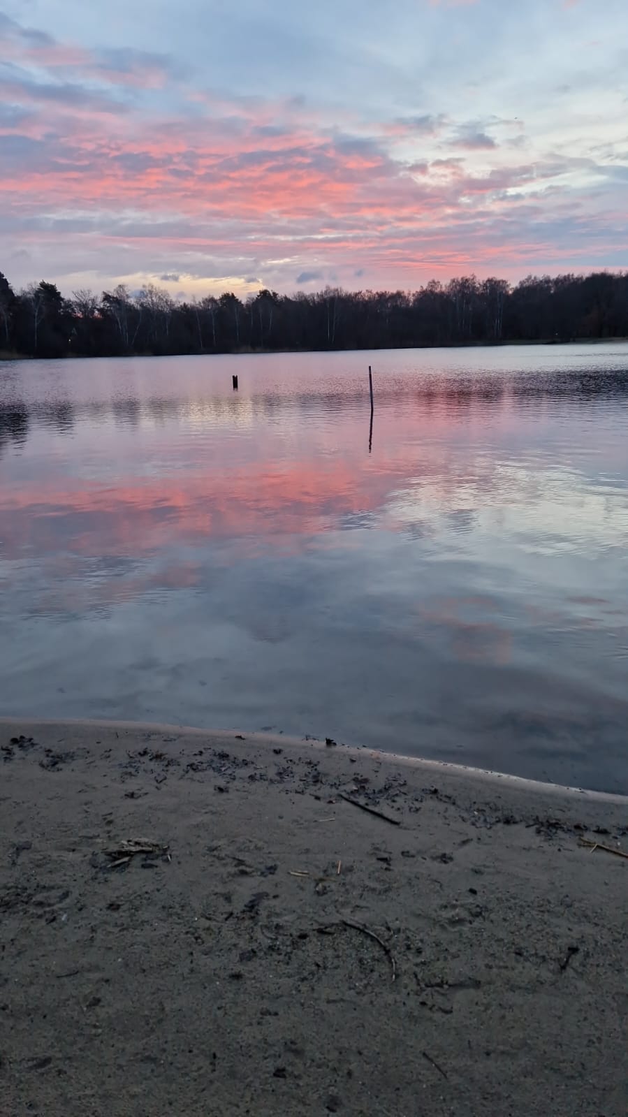 IMG 20230205 WA0000