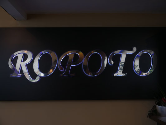 Logo Ropoto